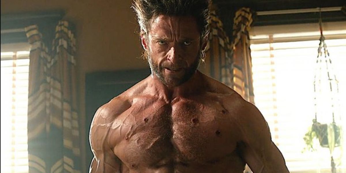 Hugh Jackman as Wolverine