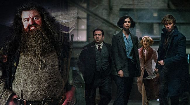 fantastic beasts 3 rubeus hagrid