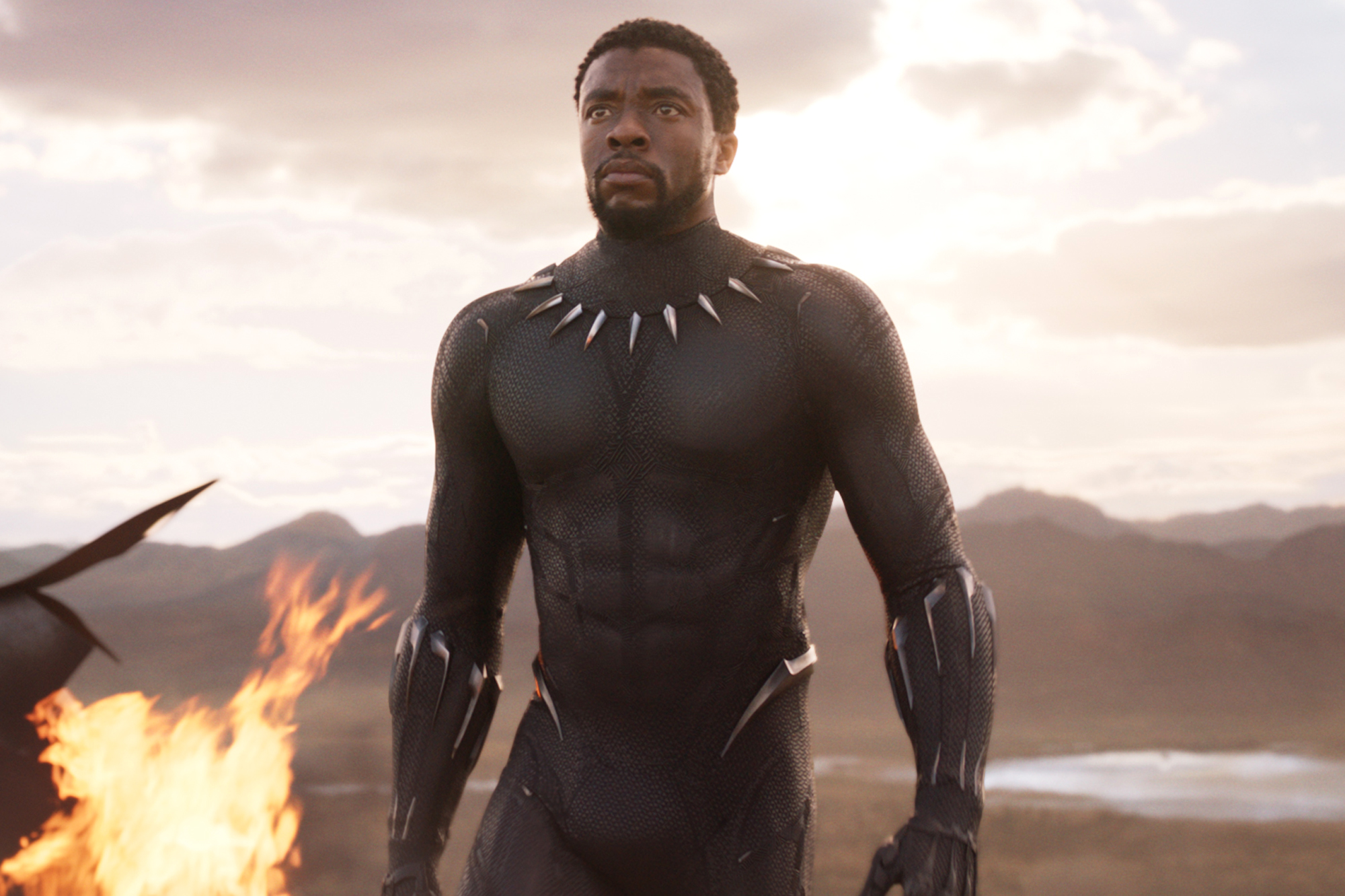 MCU Black Panther