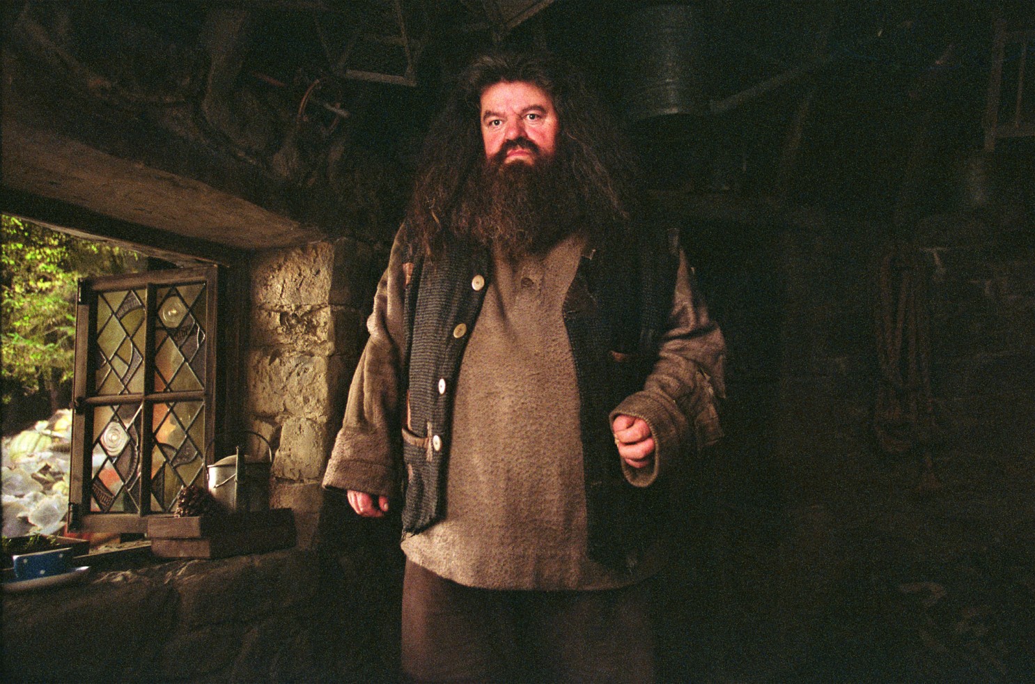 Harry Potter Series Rubeus Hagrid