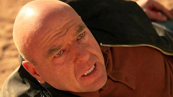 Dean Norris as Hank on Breaking Bad