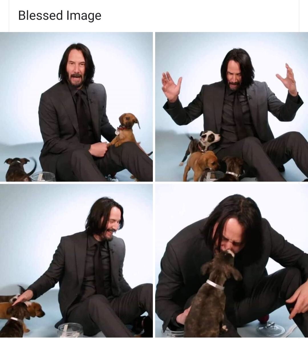 Keanu Reeves with Puppies