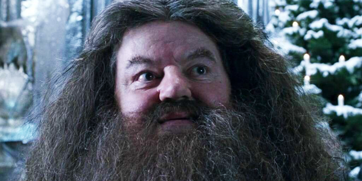 Rubeus Hagrid