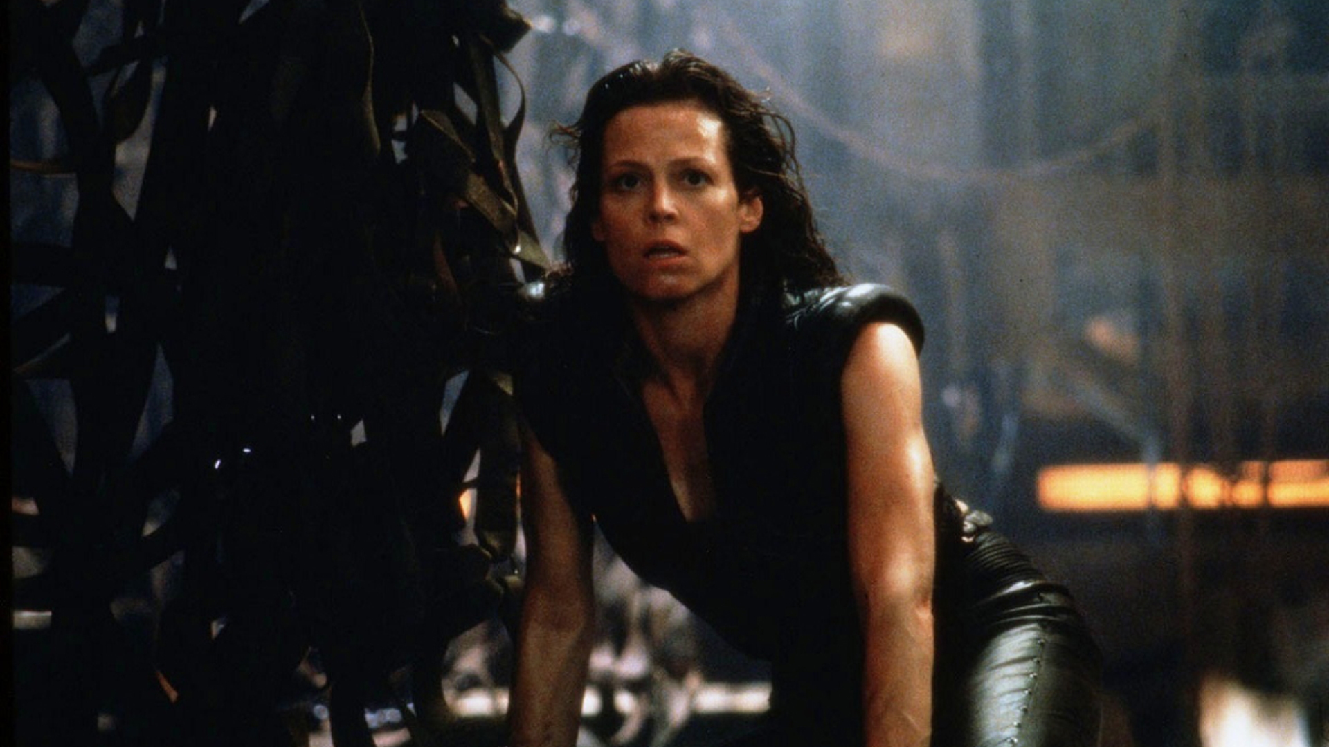 Alien 1996