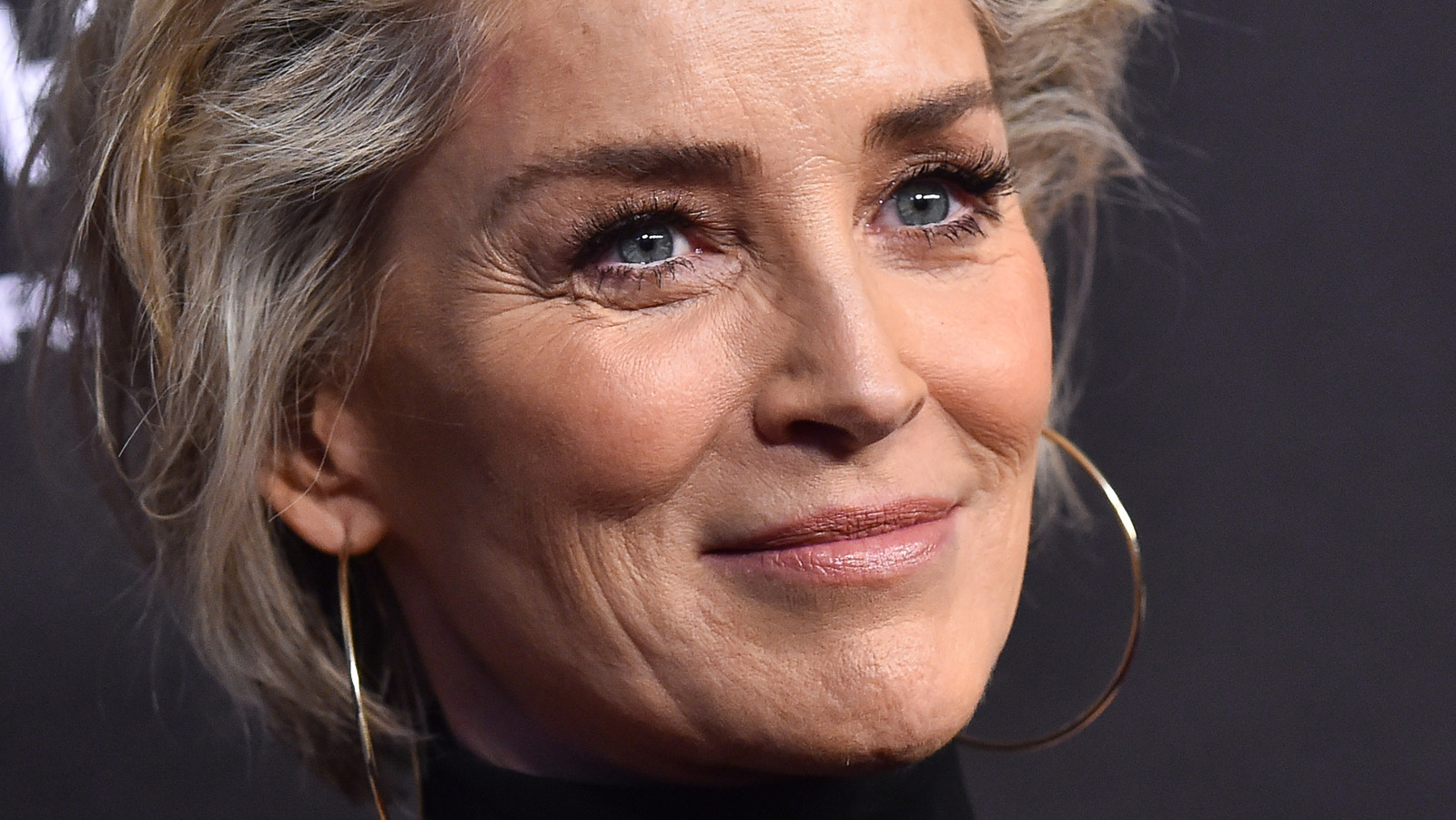 Blue Beetle Casts Basic Instinct Star Sharon Stone