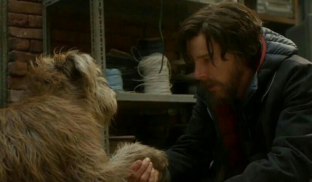 Doctor Strange - Kamar-Taj Dog Scene