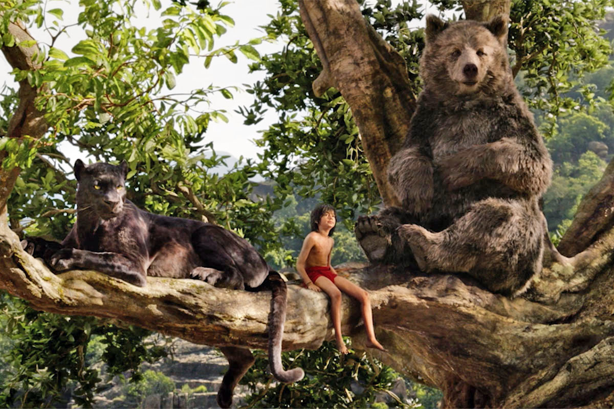 Exploring the best live-action Disney movie between The Lion King and The Jungle Book.