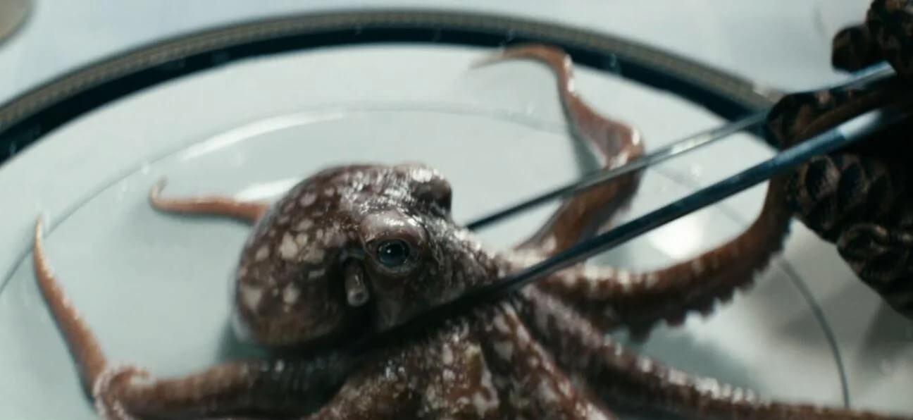 Timothy the CGI octopus 