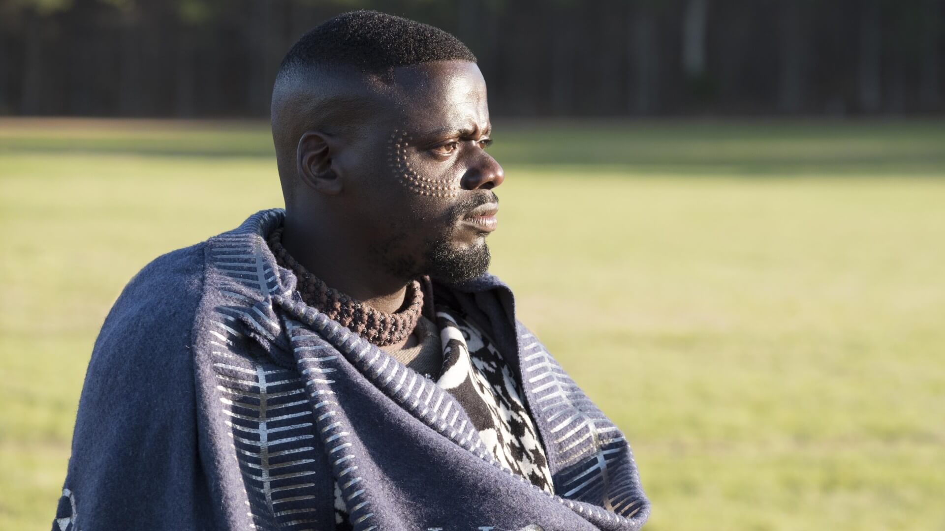 Daniel Kaluuya as W'Kabi, Black Panther 