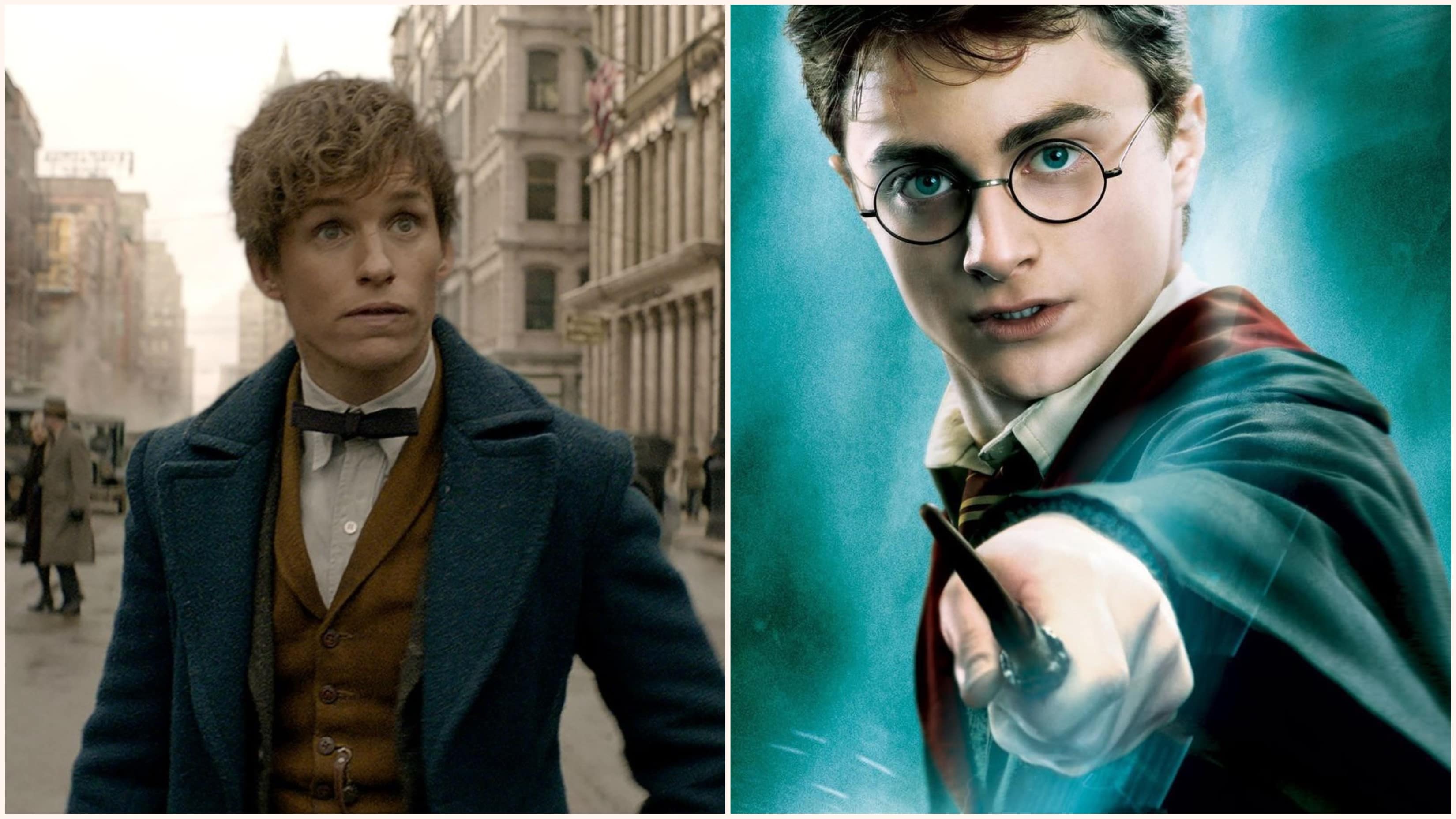 ‘Fantastic Beasts’ Star Talks Major 'Harry Potter' Connection